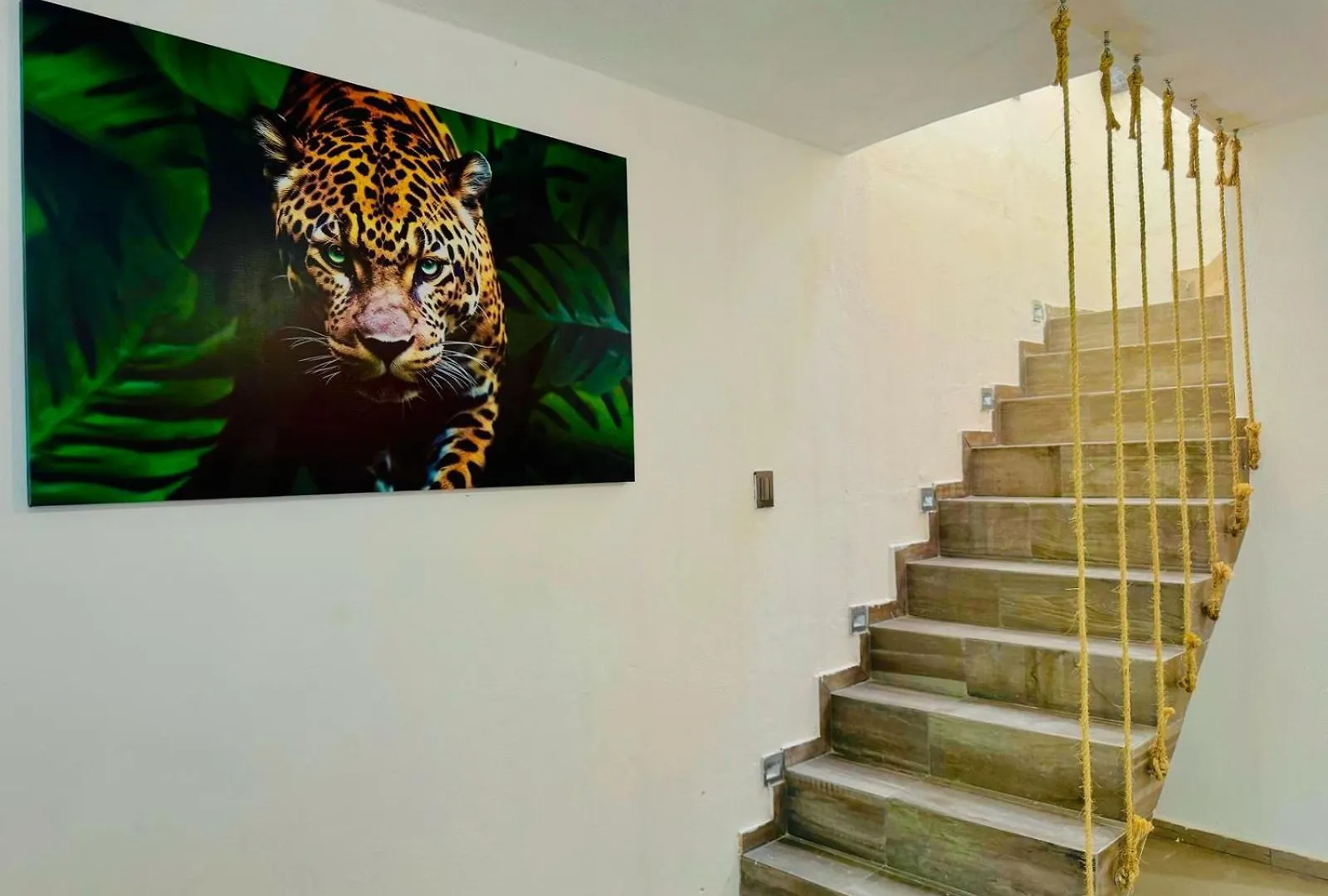 Casa Petate Apartman Cancún Mexikó